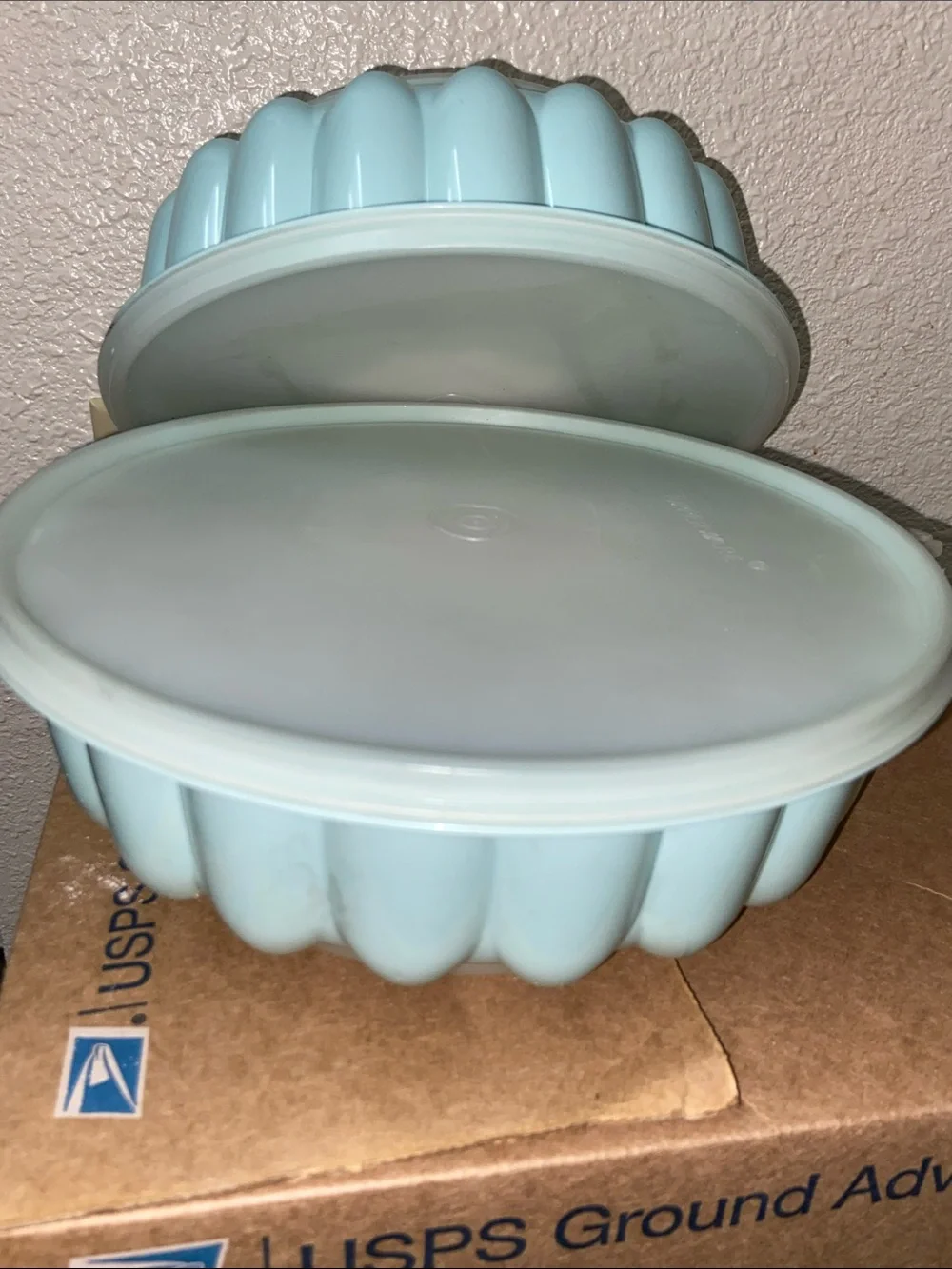 Vtg, Tupperware Jello-Ring Mold Mint Blue Plastic with Lids - Set of Two